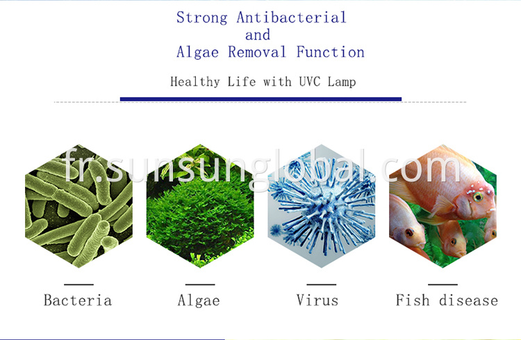 Stérilisateur UV d'aquarium de bonne qualité